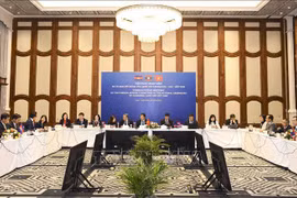 Vietnam, Laos, Cambodia NAs work hard to boost cooperation 