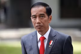 Indonesia plans to accelerate ban on bauxite exports