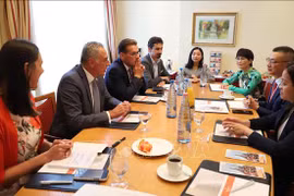 Ways sought to step up relations between Vietnamese, German localities