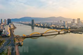 Da Nang, Finance Ministry top Digital Transformation Index