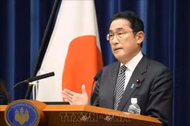 Japan considers Vietnam extensive strategic partner: Official