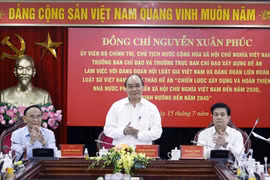 Strategy on building, perfecting rule-of-law socialist State under discussion