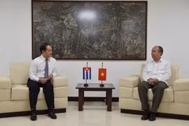 Vietnam seeks Cuban experience in religious affairs