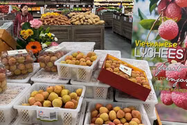 Vietnam, Australia post record high in two-way trade