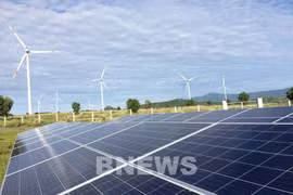 EVN to boost clean energy development 