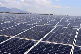 US waives tariffs on solar panels from Vietnam