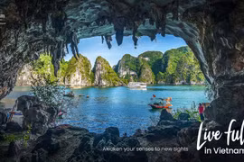 International tourism forecast to recover strongly in Vietnam in 2022
