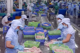 Vietnam, US continue working towards harmonious, sustainable trade ties
