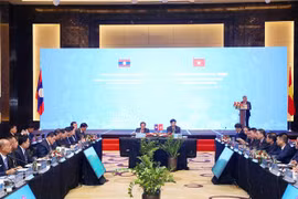  Vietnam, Laos boost cooperation in fighting cross-border drug crime