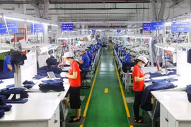 Newly-established enterprises surge in January