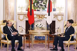 Vietnamese President, Japanese PM hold talks in Tokyo