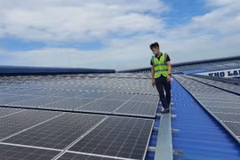 HCM City launches renewable energy use competition rented houses