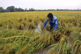 Southern provinces told to brace for severe weather this year