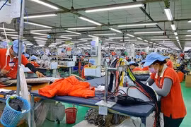 Digital transformation offers bright prospects for small- and medium-sized enterprises