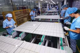 Record rise seen in number of new, resuming firms in 8 months