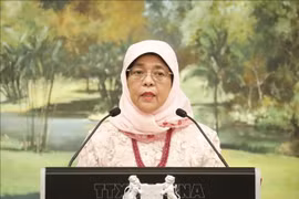 President of Singapore to pay state visit to Vietnam