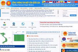 Border gate congestion warning function launched on national single-window portal