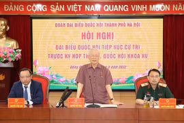 Party chief meets voters in Hanoi
