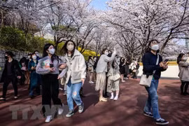 RoK makes plans to attract Vietnamese tourists