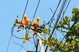 Hanoi prepares power supply scenarios for storm season