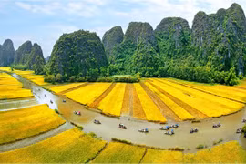 Festival to promote heritage values to the world