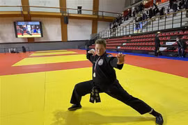 French championship of Vietnamese martial arts awards 78 medals