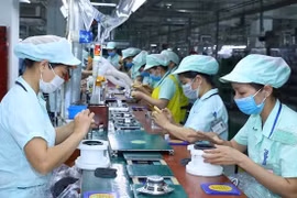Vietnam-Japan relationship makes firm strides: Ambassador