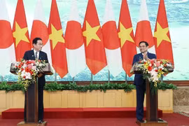 PMs stress importance of substantively promoting Vietnam - Japan extensive strategic partnership