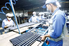 Newly opened firms mushroom during new normal