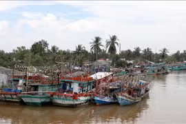 Quang Ninh makes progress to remove EC fishing "yellow card"