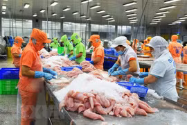 Over 90% of Tra fish on sale in US are from Vietnam