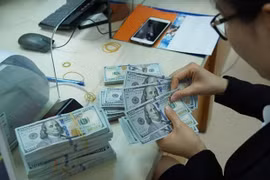 Reference exchange rate down 9 VND