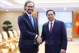Vietnam treasures comprehensive partnership with Argentina: PM