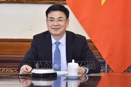 New project to promote Vietnamese language in Vietnamese communities abroad 