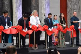 Vietnam, Denmark enjoy potential for cooperation in green growth
