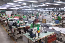 Expert explains why Vietnam is so favoured by global investors