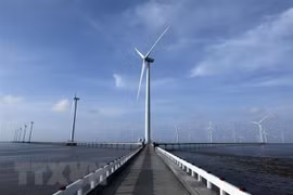 Large foreign firms interested in Vietnam’s offshore wind power industry