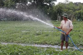 Tra Vinh to spend big to promote Khmer community-inhabited areas