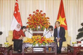 HCM City, Singapore beef up investment ties