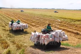 ASEAN countries discuss response to food security concerns