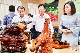 Middle East market remains promising for Vietnamese exporters: Experts