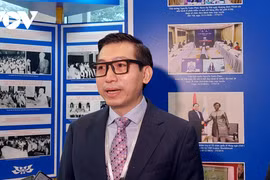 Vietnam wishes to expand cooperation with Israel: Ambassador