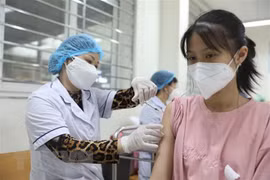 Vietnam logs 316 new COVID-19 cases on November 22