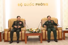 Vietnam, Laos step up practical cooperation in defence