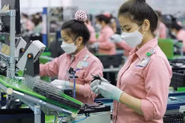 Nearly 120 Korean firms to join Vietnam-RoK B2B matching event