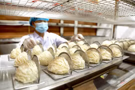 Vietnam bird's nests to enter Chinese market through official channel