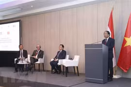 Room remains to boost Vietnam-Hungary cooperation: official