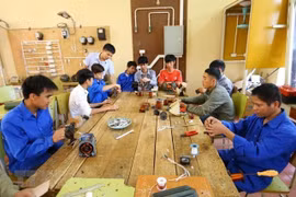 More data needed on people with disabilities in Vietnam