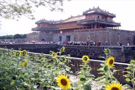 Thua Thien-Hue serves around 47,000 visitors during Tet holiday