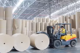 Paper industry expects to maintain high growth momentum